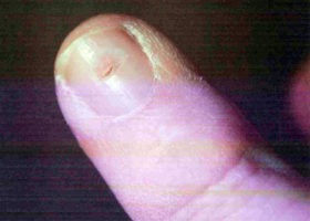 “This technology is revolutionary.”