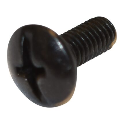 M4x0.7x10 Truss Head Phillips Screw (Black Zinc)